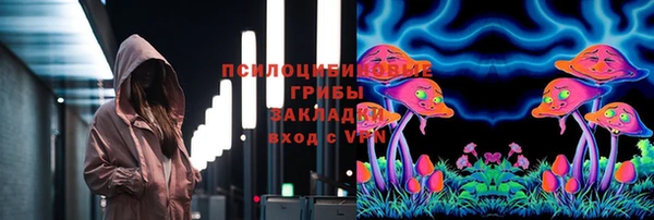 мдпв Ельня