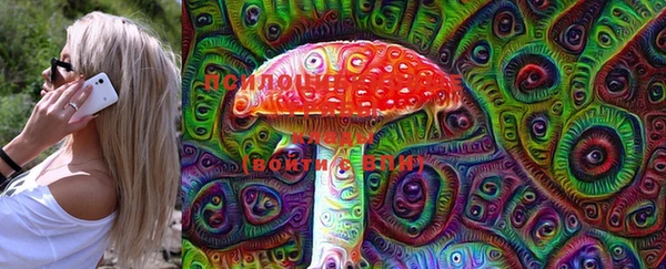 мдпв Ельня