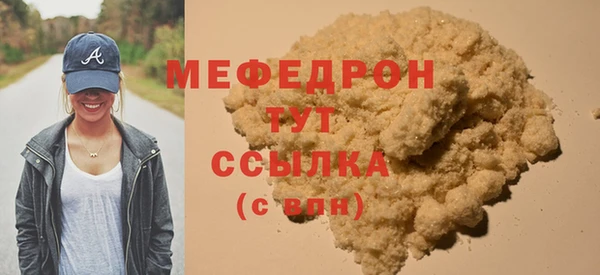 мдпв Ельня