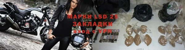 молекула духа Елизово