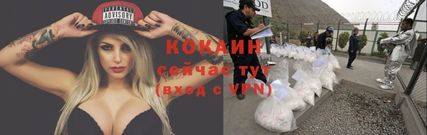 молекула духа Елизово