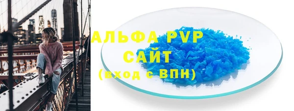 мдпв Ельня