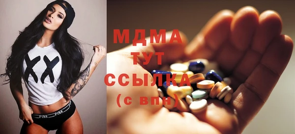 мдпв Ельня
