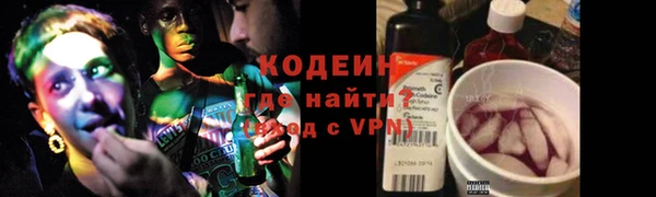 мдпв Ельня