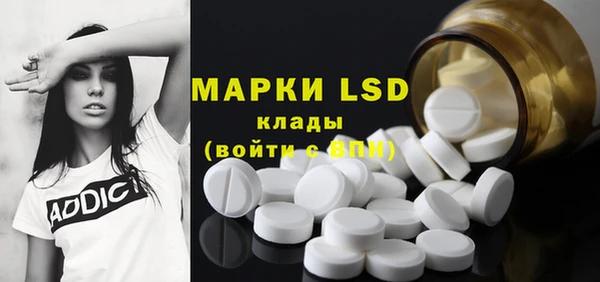 мдпв Ельня