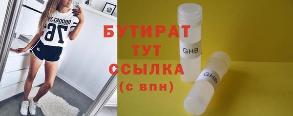 мдпв Ельня