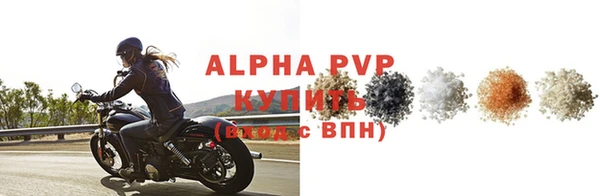 мдпв Ельня