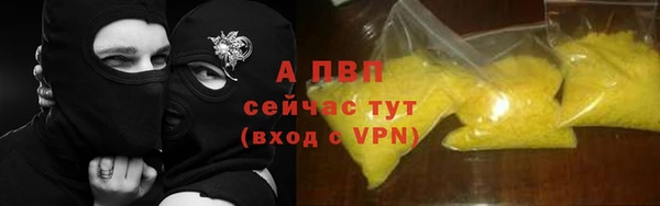 мдпв Ельня