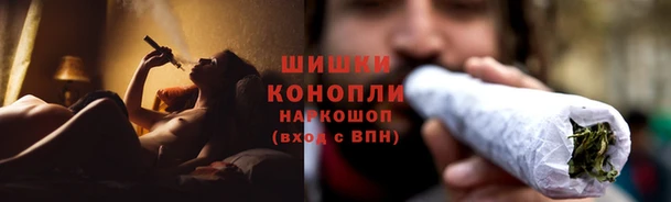 молекула духа Елизово