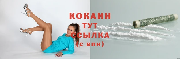 мдпв Ельня