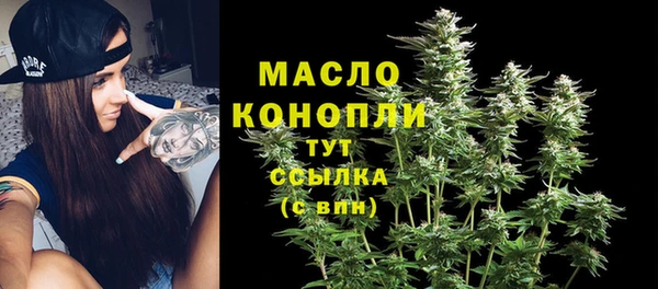 мдпв Ельня