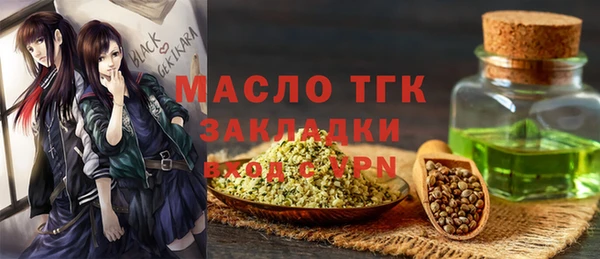 молекула духа Елизово