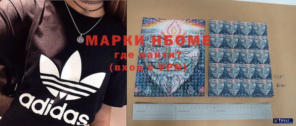 мдпв Ельня