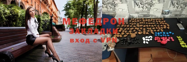 мдпв Ельня