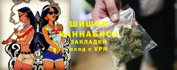 молекула духа Елизово