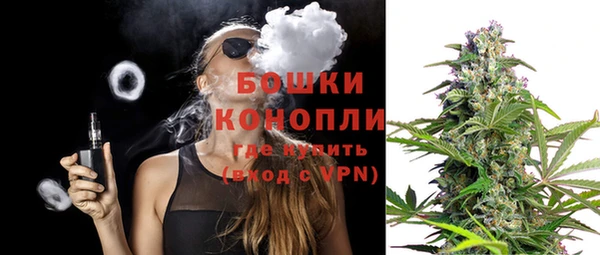 молекула духа Елизово