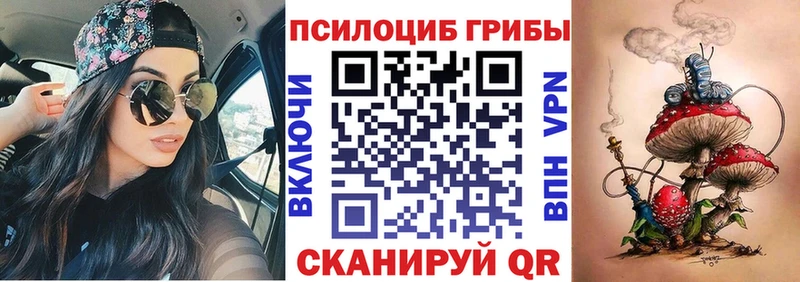 Купить  Ветлуга  Псилоцибиновые грибы Psilocybe 